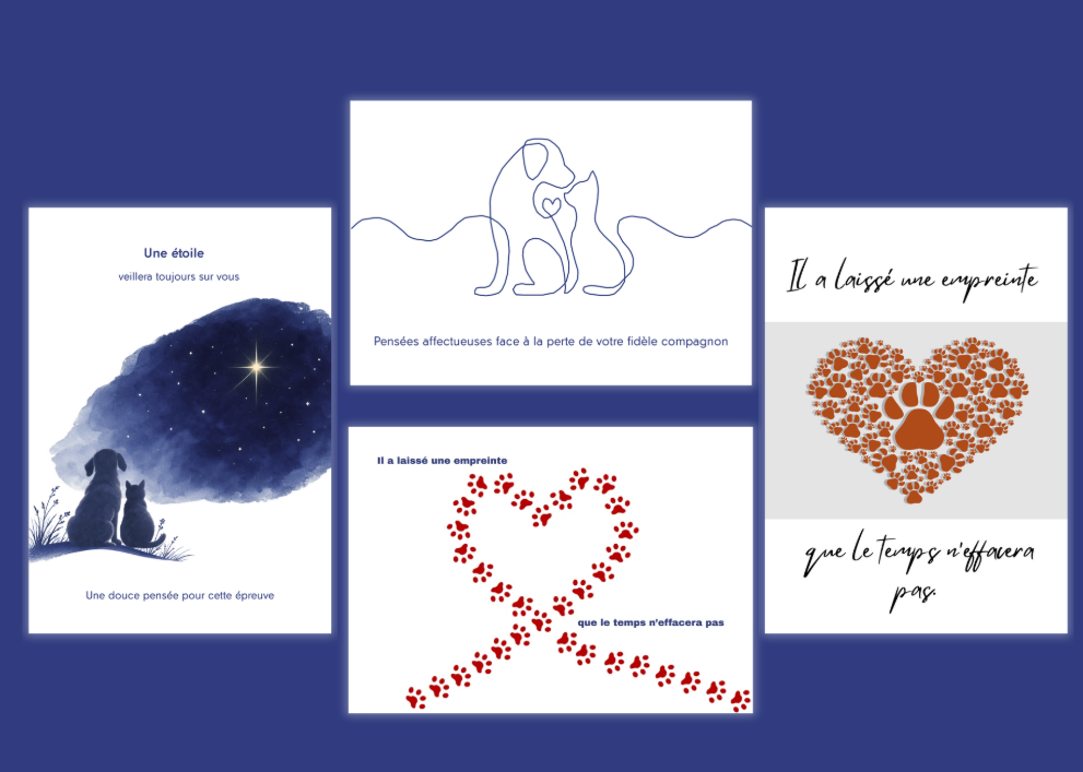 Cartes de condoléances (les 4 sortes) 50 pièces + 10 GRATUITES